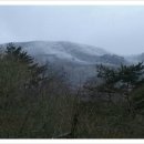 지리산터널펜션 이미지