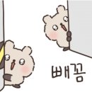 수원-0199 이미지