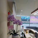 써니헤어샵 이미지