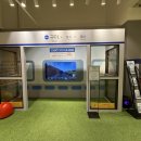 배스킨라빈스구미원평 | 구미마을 젤리상점 팝업스토어 쿵야 레스토랑즈 방문 후기