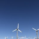 평안목장 | 미국 서부 여행 패키지 후기 - 살베이션마운틴, 조슈아 트리, 은하수 당일치기