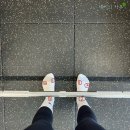 [산본 하이무브] PT 2회차 후기 : 하체의 날(스쿼트, 브이스쿼트, 힙쓰러스트)
