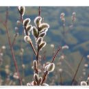 살둔정보화마을 이미지