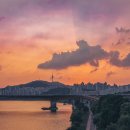 숲속노을로(1) 이미지