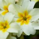 미예담산부인과의원 이미지