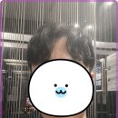 세종미용실 이미지