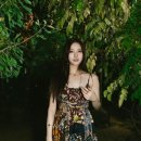 콜로코프로젝트