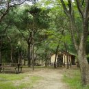 군위장곡자연휴양림 이미지