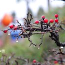 땅끝해양 자연사박물관 이미지