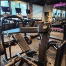 데일리피티 이미지