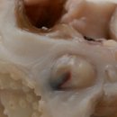 서부 생선가 이미지