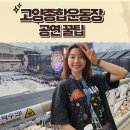 제일종합에너지 | (스포X) 콜드플레이 내한공연 후기 고양종합운동장 굿즈 품절 시간, 화장실, 카카오T 웨이팅 최소화 팁