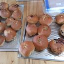 고래불권역마을 이미지