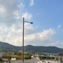 코이스테이 이미지