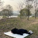 갈산공원(중간) 이미지