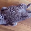 데일리 그루밍 이미지