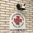 유동물의료센터 이미지