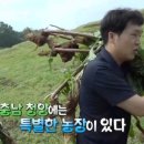 재용정보 이미지