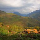 벌과 사람 이미지