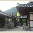 최참판댁 Daum카페