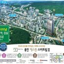 운동장.송담대역 매일경제