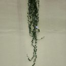 6월28일,1일차 (1박2일) 비비정, 전주 한옥마을, 군산시내 여행후기. 이미지