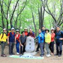 수리산철쭉축제,무성봉(석정대장님,지기님) 이미지