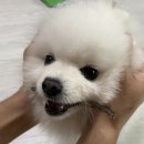 멍개구름 이미지