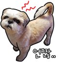 어나더153애견펜션 이미지