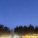 이현로29번길 | [경기도] 경기도 용인, 기흥 맛집 삼동소바 본점 후기