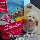 마이펫 | 기호성 좋은 강아지 사료 마이펫닥터 급여 후기