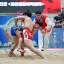 유기농특별시