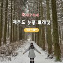 이큐어웨이