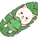 파마비타헤어샵