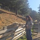 평창현대스위트빌리지 | 평창 라마다호텔 디럭스 트윈 4인 현대홈쇼핑 호캉스패키지