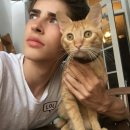 양남 Daum카페
