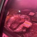 통나무 정육식당 | 아산맛집고기집 용화동 통나무정육식당 육즙이 살아있어요! 회삭 장소 추천