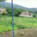 보길면-1 이미지