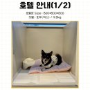 뽀글뽀글 반려견 유치원&호텔 이미지