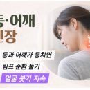 등관리