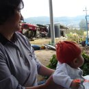 감천할머니 이미지