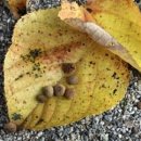 (주)나무 이미지