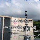 바디마르크