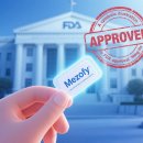 가메조네 이미지