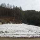 동홍천휴게소 이미지