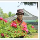 러시아의 '연해주'의병활동에 대하여 이미지