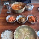 마포구청 직장인 필수 코스! 순희네 닭곰탕 내 돈 주고 먹어본 찐 후기