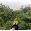 강서구-74 이미지