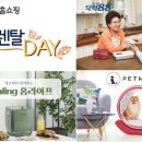 렌탈데이