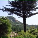 황장산등산로 입구 이미지